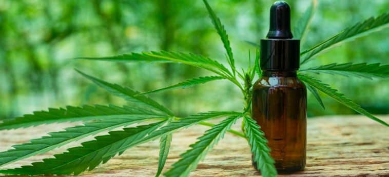 CBD efficace fibromyalgie