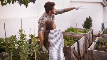 astuces pour se faciliter l'entretien du jardin