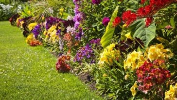 ingrédients naturels pour fertiliser les plantes
