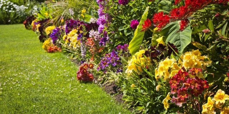 ingrédients naturels pour fertiliser les plantes