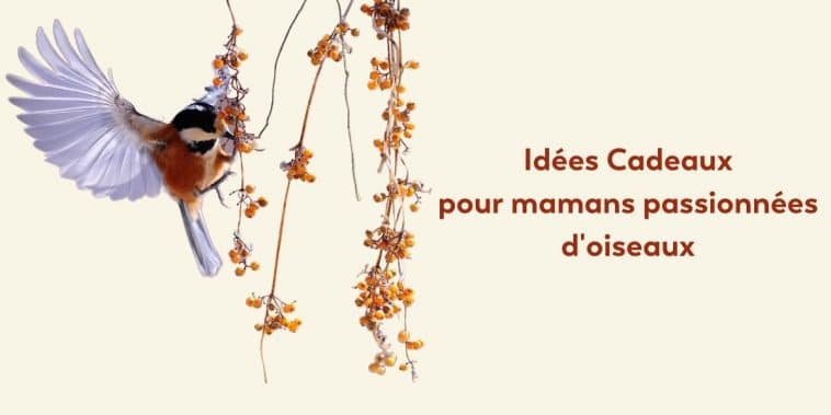 idées cadeaux fêtes des mères maman qui aime les oiseaux