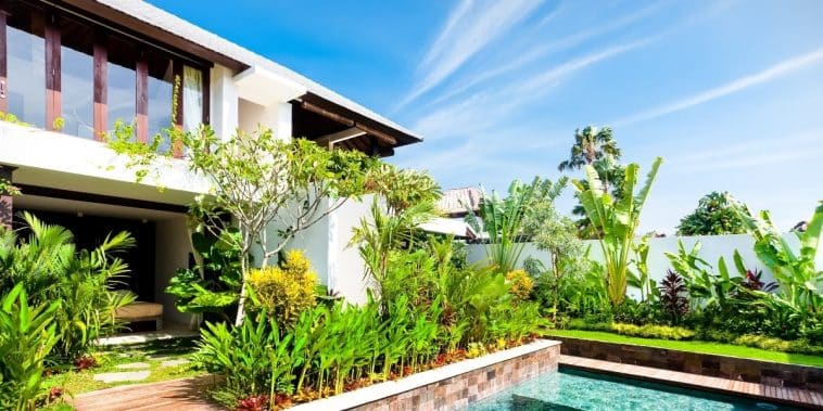 Plantes pour jardin moderne