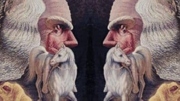 test amour