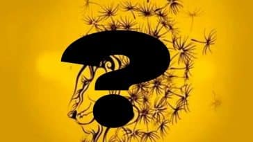 Test de personnalité