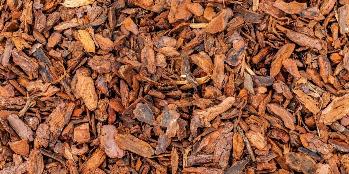 Comment choisir le bon paillis pour couvrir le sol du jardin ? nos