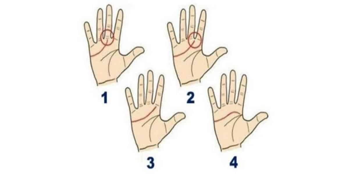 Test de personnalité : vérifiez votre ligne de main ! L’inattendu peut