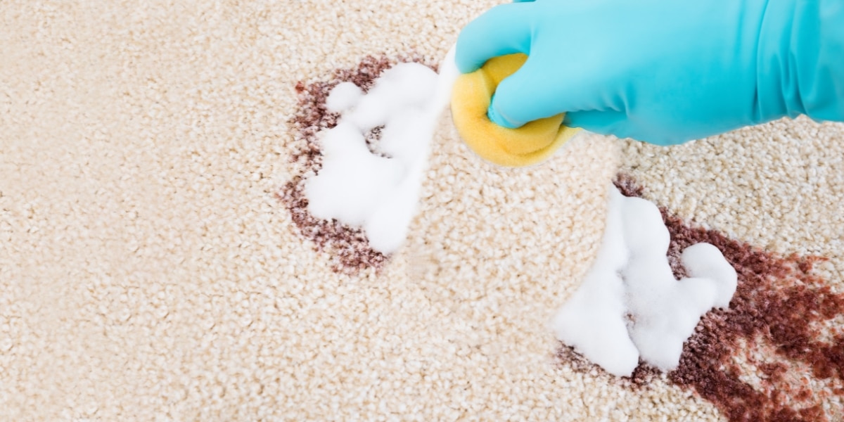 Une tâche de café sur votre moquette ou votre tapis ? Pas de stress ! Voici comment l