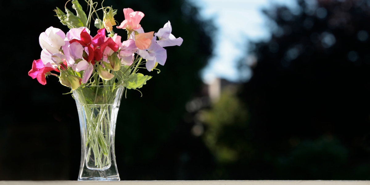 Comment nettoyer un vase en cristal qui a blanchi