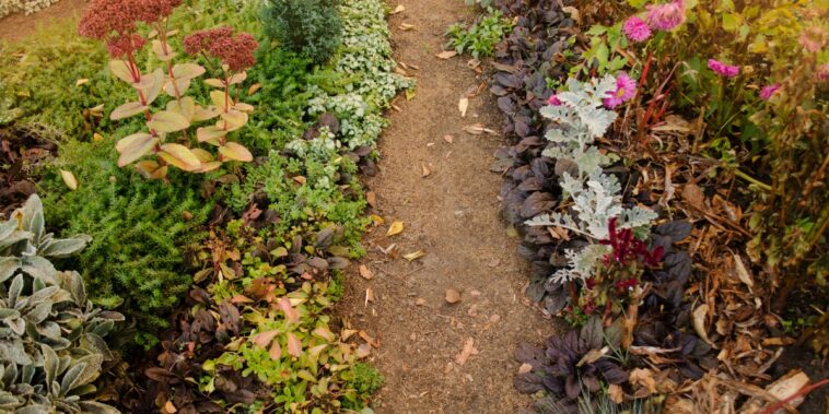 Découvrez nos astuces pour le potager au mois d'octobre !