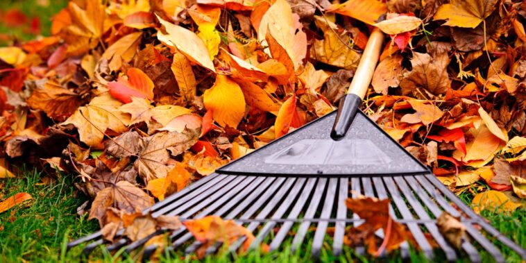 Que faire au jardin en octobre ?