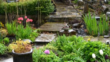 Comment préparer son jardin pour l'hiver : Suivez nos 4 étapes pour un jardin 100% protégé du froid et des intempéries