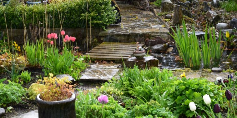Comment préparer son jardin pour l'hiver : Suivez nos 4 étapes pour un jardin 100% protégé du froid et des intempéries