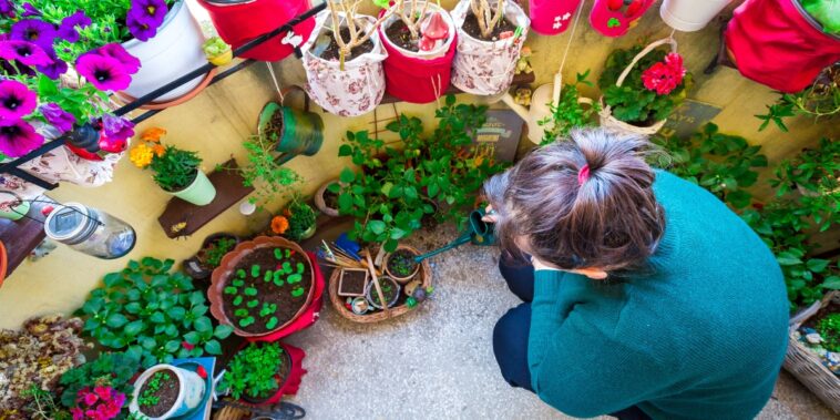Les plantes qui poussent sur le balcon et qui nécessitent que peu d’arrosage !