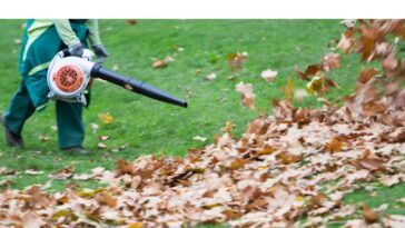 4 bons gestes pour entretenir son jardin en automne !