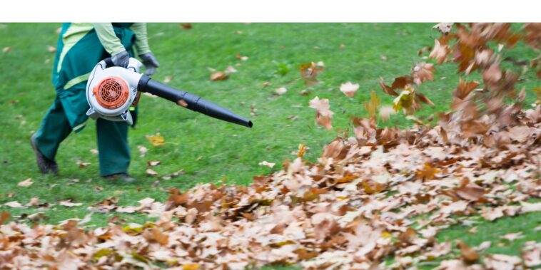 4 bons gestes pour entretenir son jardin en automne !