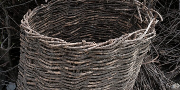 Comment nettoyer la moisissure d'un panier en osier ?