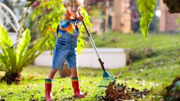 Quelques conseils pour profiter de l’arrivée l’automne !