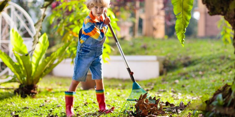 Quelques conseils pour profiter de l’arrivée l’automne !