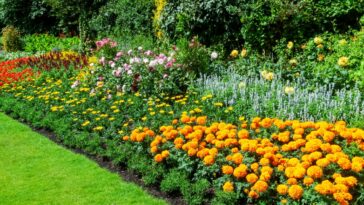 Quelle bordure pour un parterre de fleurs ?