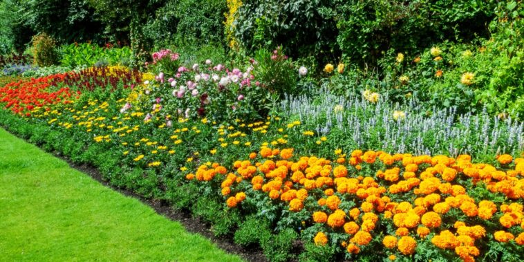 Quelle bordure pour un parterre de fleurs ?