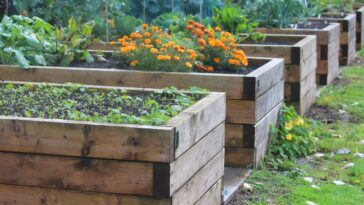 Comment faire un potager surélevé en palette ?