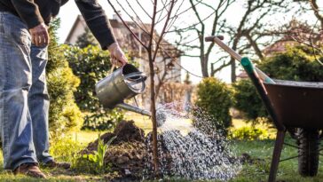 Arroser au mois d’octobre : quand, comment, quelle quantité ?