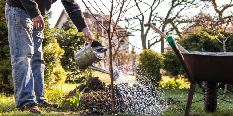 Arroser au mois d’octobre : quand, comment, quelle quantité ?