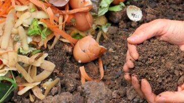 L'automne la meilleure saison pour préparer votre compost !