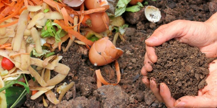 L'automne la meilleure saison pour préparer votre compost !
