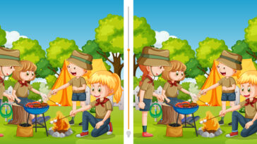 Défi visuel : 60 secondes pour trouver 12 différences dans cette image du camping !