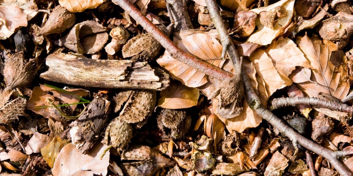 Comment faire de la litière forestière fermentée ?