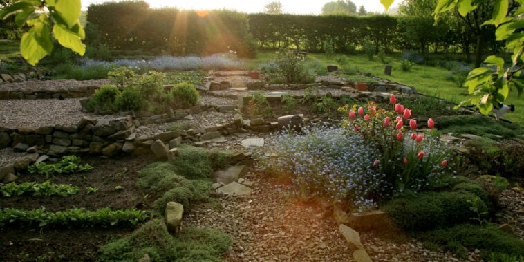 Qu'est-ce que le principe d'autorégulation en permaculture ?