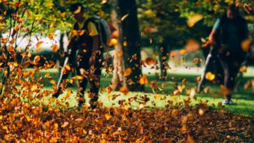 Utilisez un souffleur pour ramasser les feuilles mortes, la technique infaillible !