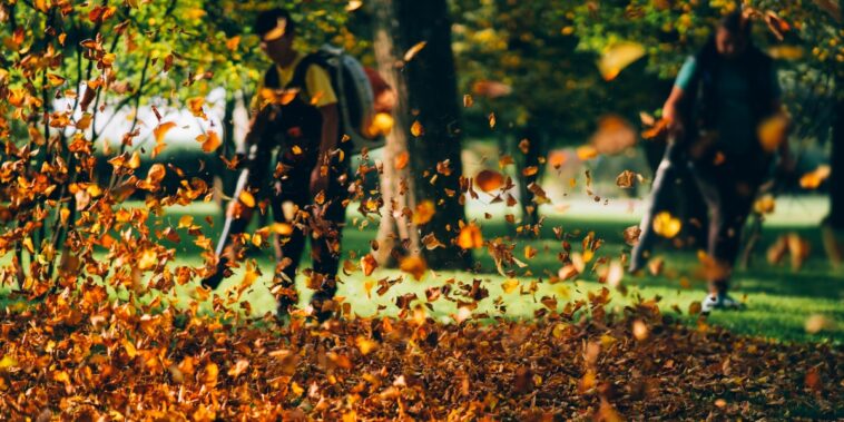 Utilisez un souffleur pour ramasser les feuilles mortes, la technique infaillible !