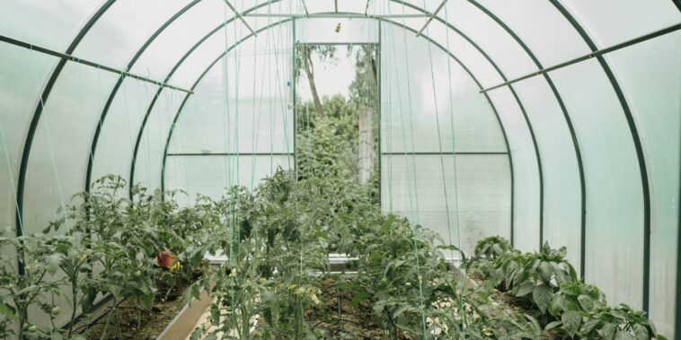 Pourquoi faire une serre enterrée au jardin ?