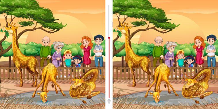 Défi visuel : Trouvez les 3 différences dans ce zoo en moins de 10 secondes !