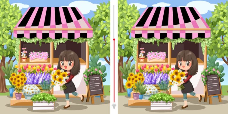 Défi visuel : Relevez le défi de trouver 10 différences entre les images d'une fleuriste en moins de 45 secondes !