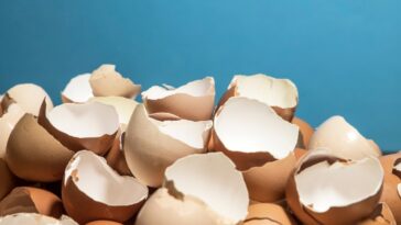 Coquille d’oeuf : comment s’en servir pour blanchir le linge en machine ?
