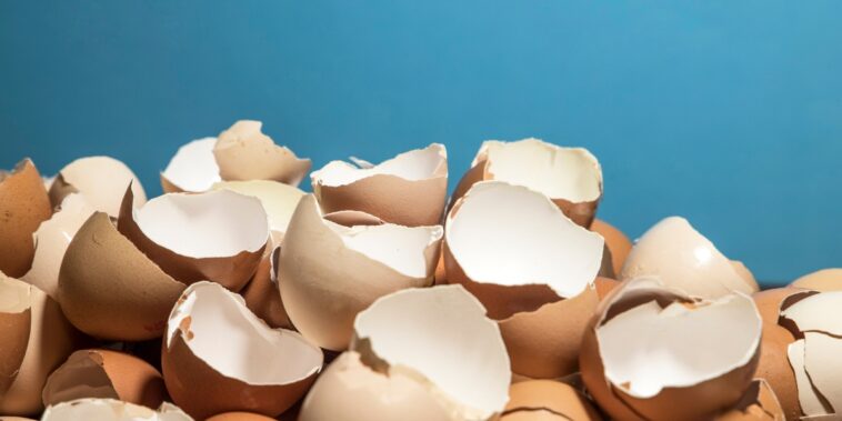 Coquille d’oeuf : comment s’en servir pour blanchir le linge en machine ?