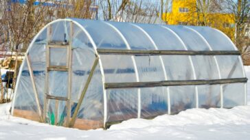 Quelle est la température idéale dans une serre en hiver ?