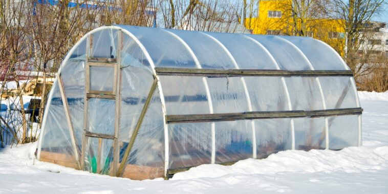 Quelle est la température idéale dans une serre en hiver ?
