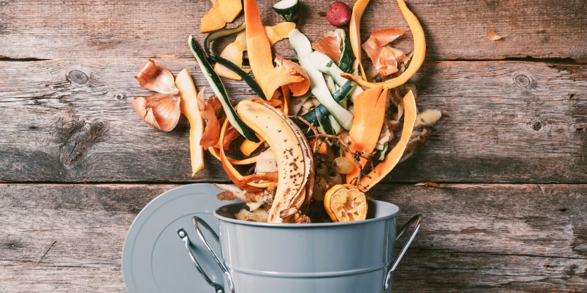 Quel est cet aliment à ne plus jeter qui fera un excellent fertilisant pour vos plantes ?