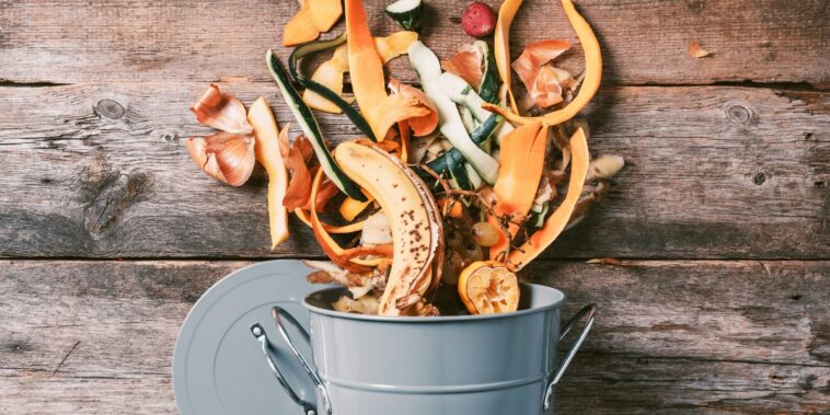 Quel est cet aliment à ne plus jeter qui fera un excellent fertilisant pour vos plantes ?