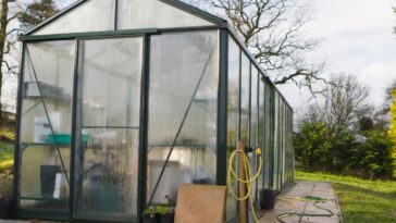Comment éviter la condensation dans une serre ? 3 astuces simples pour faire partir l’excès d’humidité