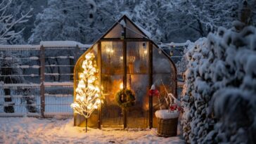 Comment chauffer une serre en hiver sans électricité ? 3 solutions écologiques et peu coûteuses