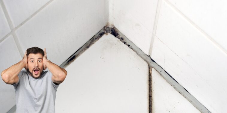 Comment vaincre l'humidité dans votre salle de bain : les meilleures astuces pour une déshumidification simple et efficace