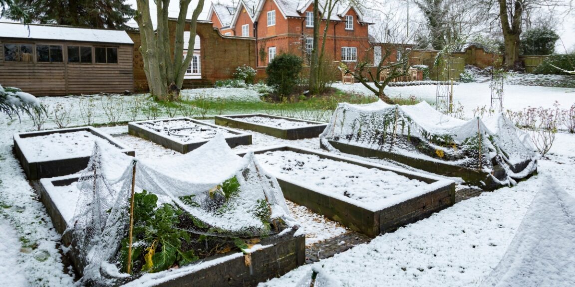 Comment préparer son potager en janvier ?