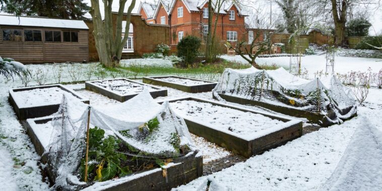 Comment préparer son potager en janvier ?