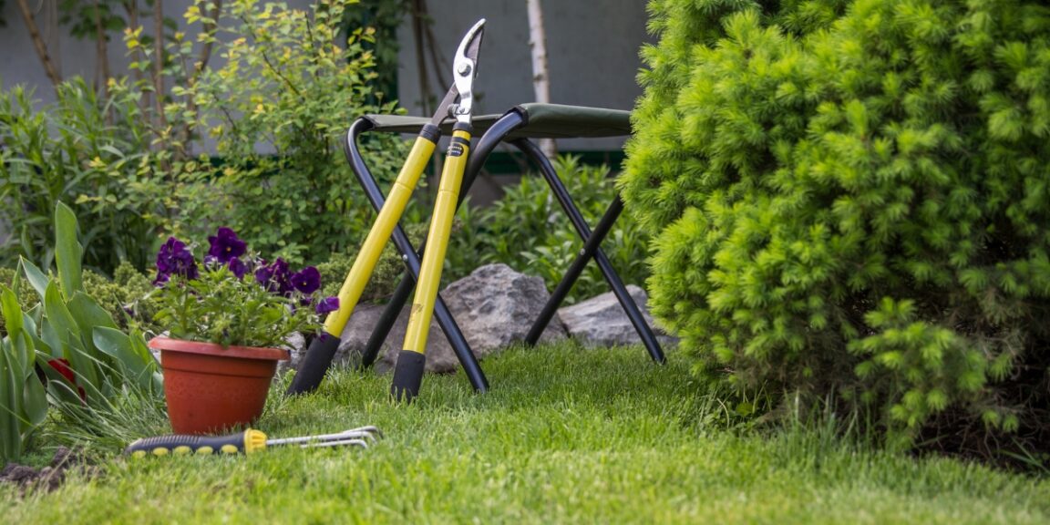 Comment s’occuper du jardin en hiver ? Quels gestes d’entretien en janvier et février ?