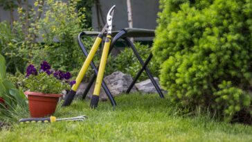 Comment s’occuper du jardin en hiver ? Quels gestes d’entretien en janvier et février ?